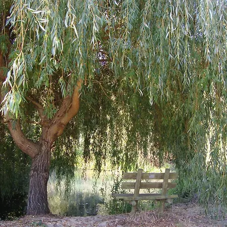 Quinta De S. Jose *