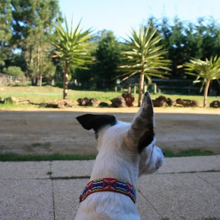 Country house Quinta De S. Jose *